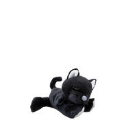 Olli Ella Binky Kitten - Koko