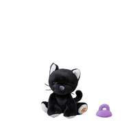 Olli Ella Binky Kitten - Koko