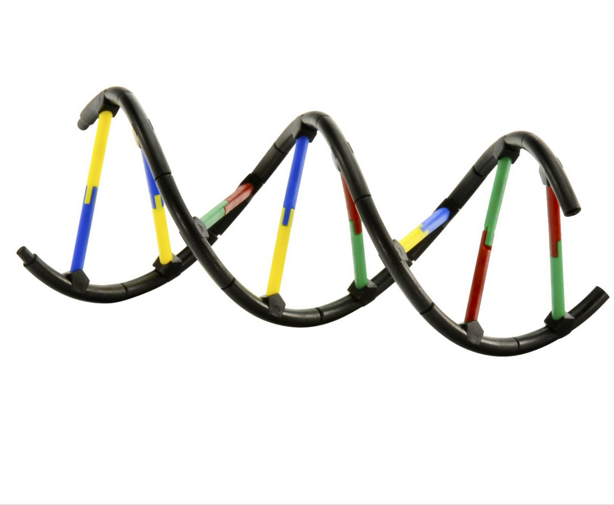 Genetics and DNA Science Kit