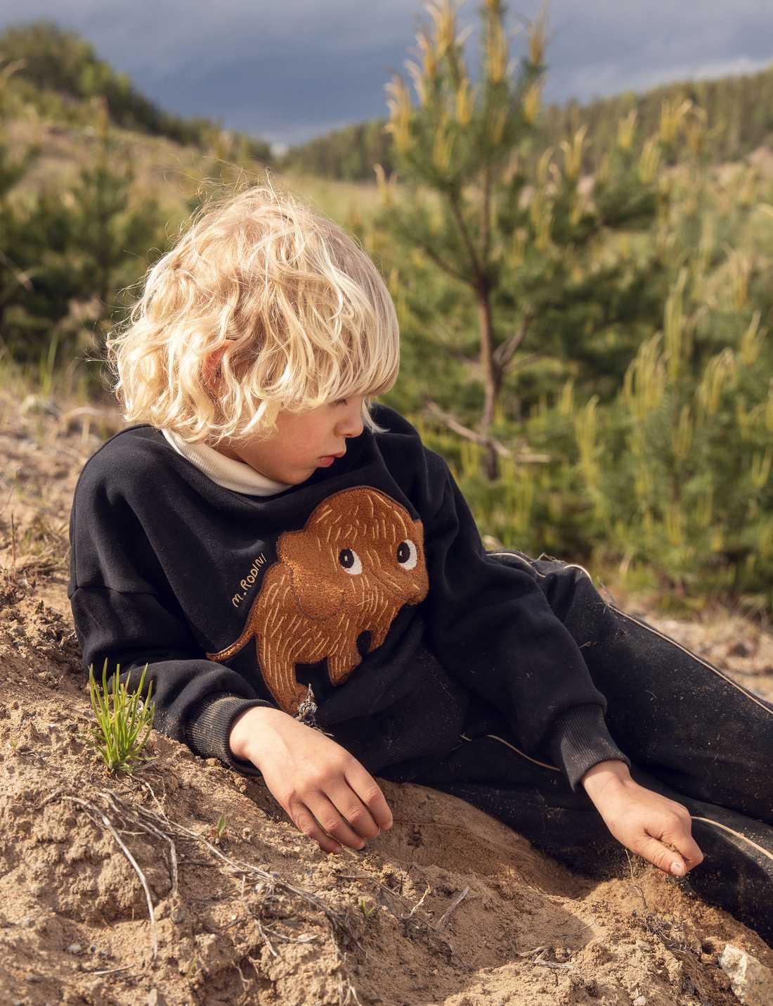 Mini Rodini Mammoth Chenille Sweatshirt