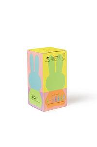 Mr Maria Miffy Colourful Surprise Collection