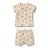 Wilson and Frenchy Tiny Palm Organic Set