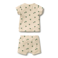 Wilson and Frenchy Tiny Palm Organic Set