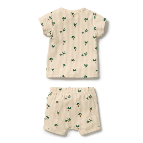 Wilson and Frenchy Tiny Palm Organic Set