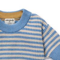 Wilson and Frenchy Frosted Blue Organic Knitted Stripe Jumper