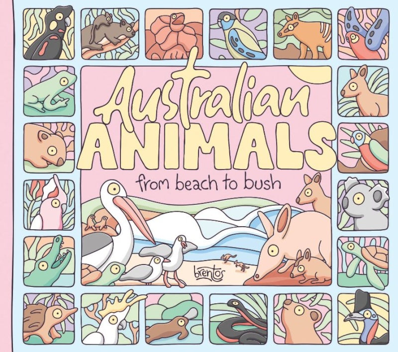 Australian Animals From Beach To Bush