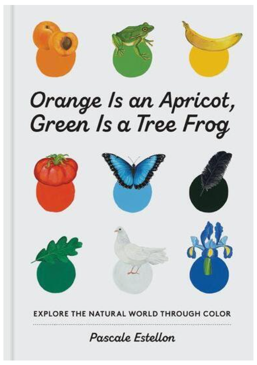 Orange Is An Apricot, Green Is A Tree Frog